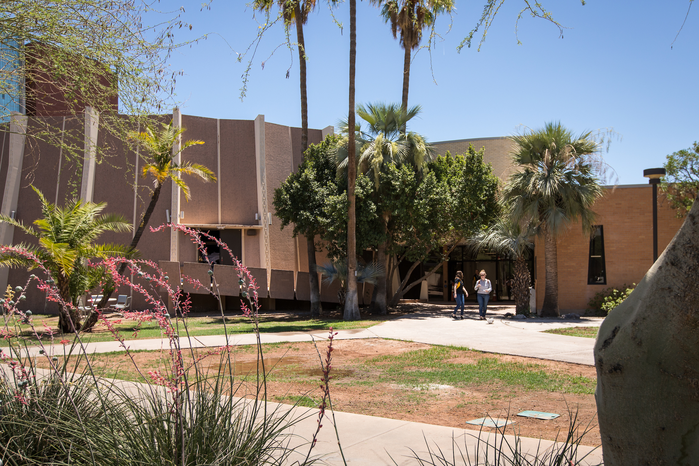 Art Colleges In Arizona