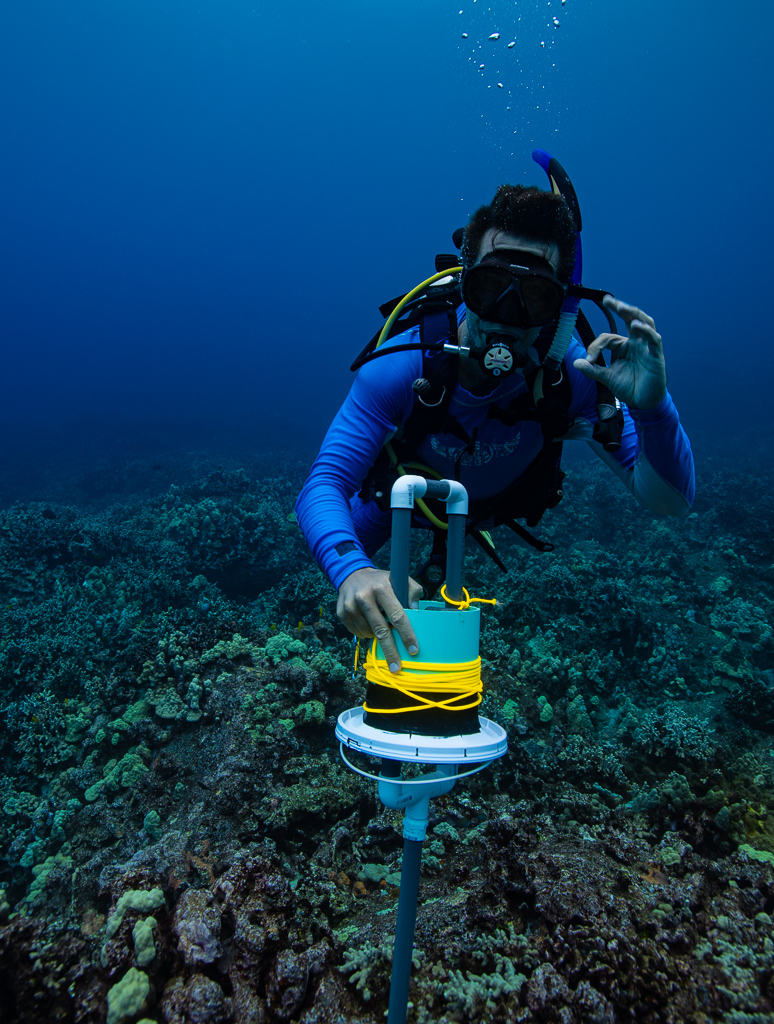 A diver prepares a camera trap to study local fish populations 