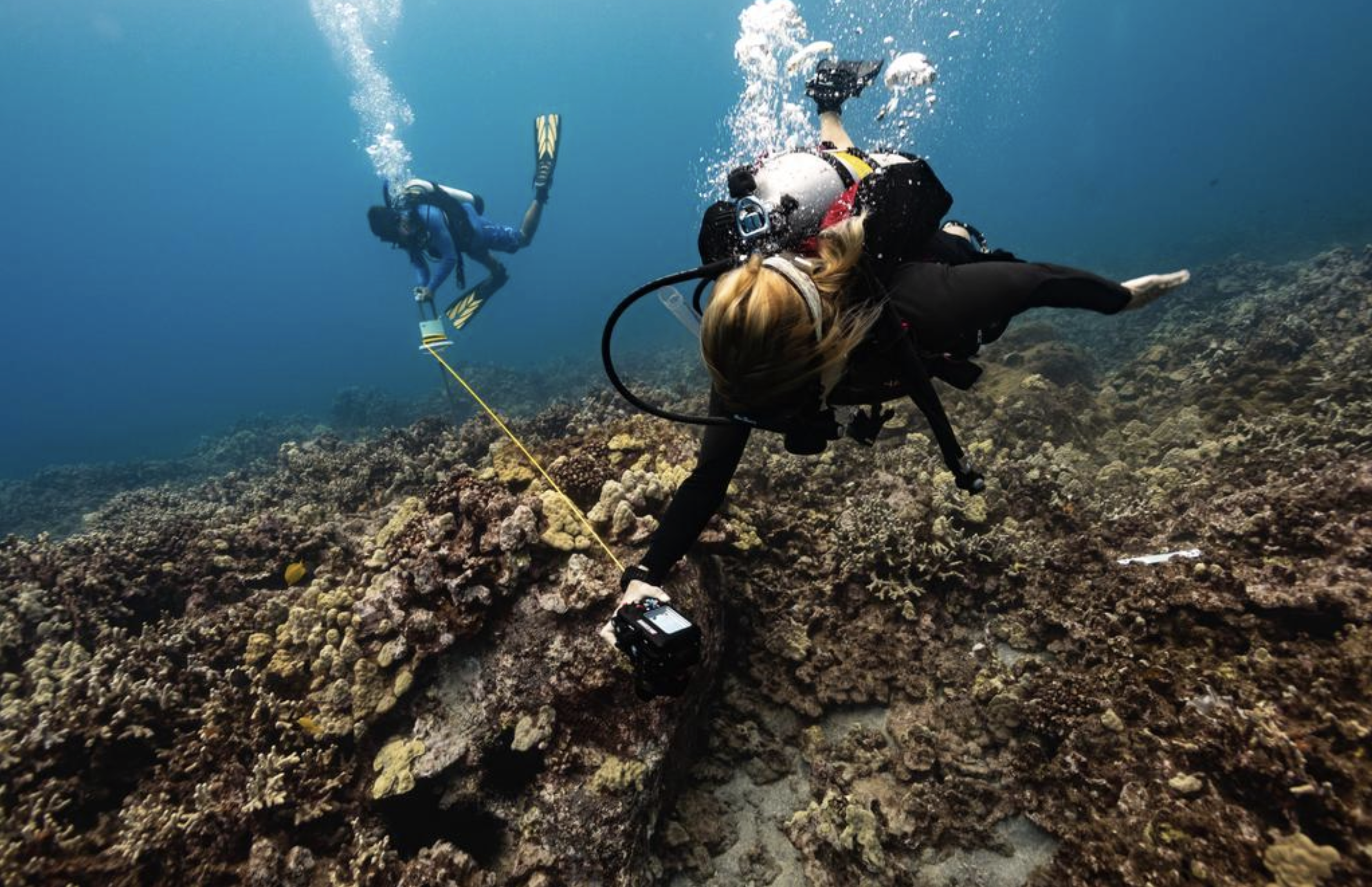 ASU scientists map the Hawaii's coral reefs during a bleaching event