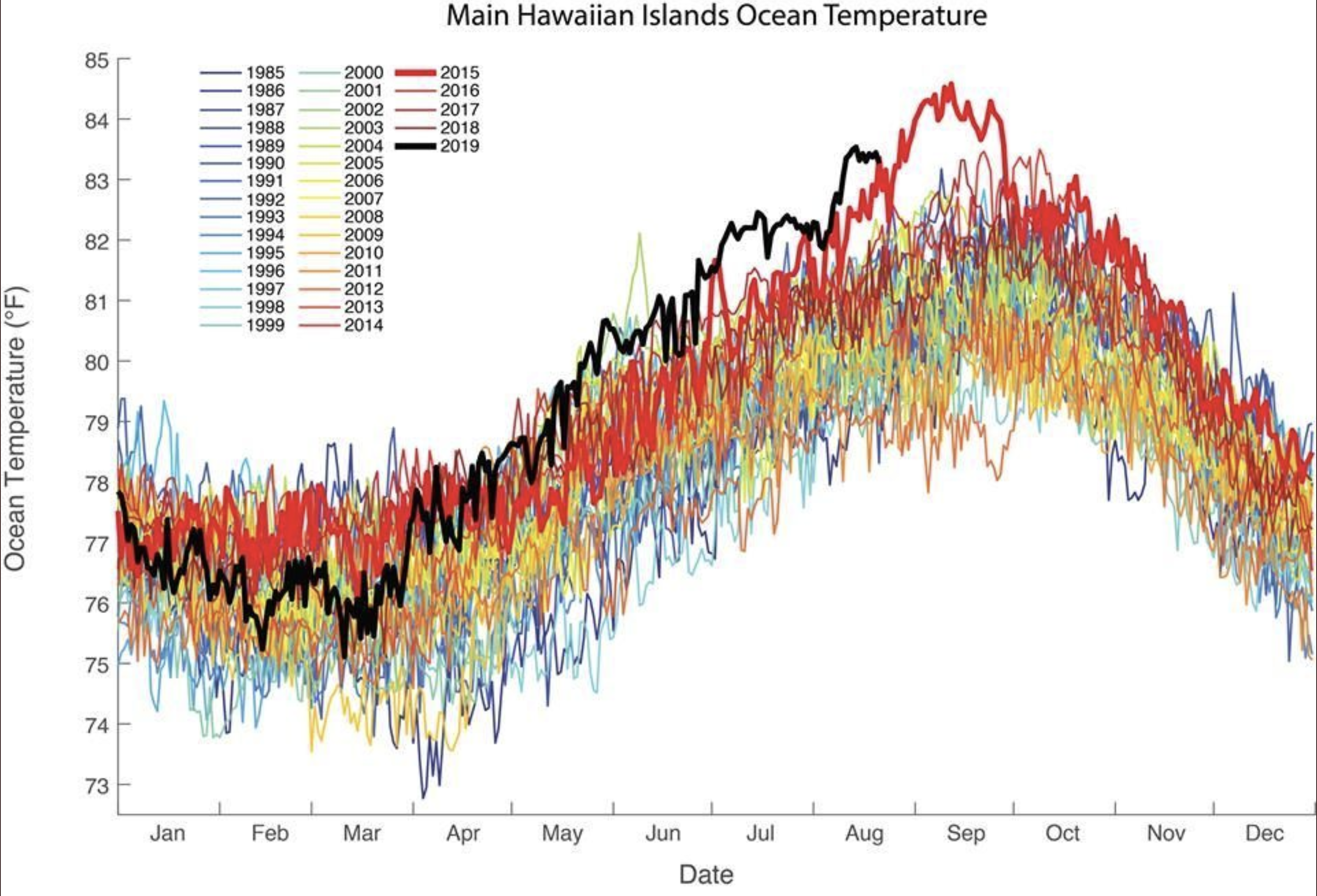 Ocean heatwave shows warming temperatures