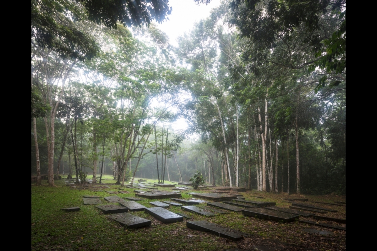 בית קברות יהודי בג'ונגל הקריבי