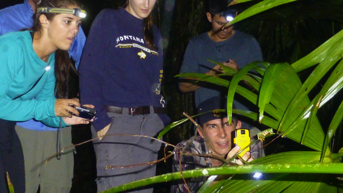 students find a frog while on a nighttime excursion