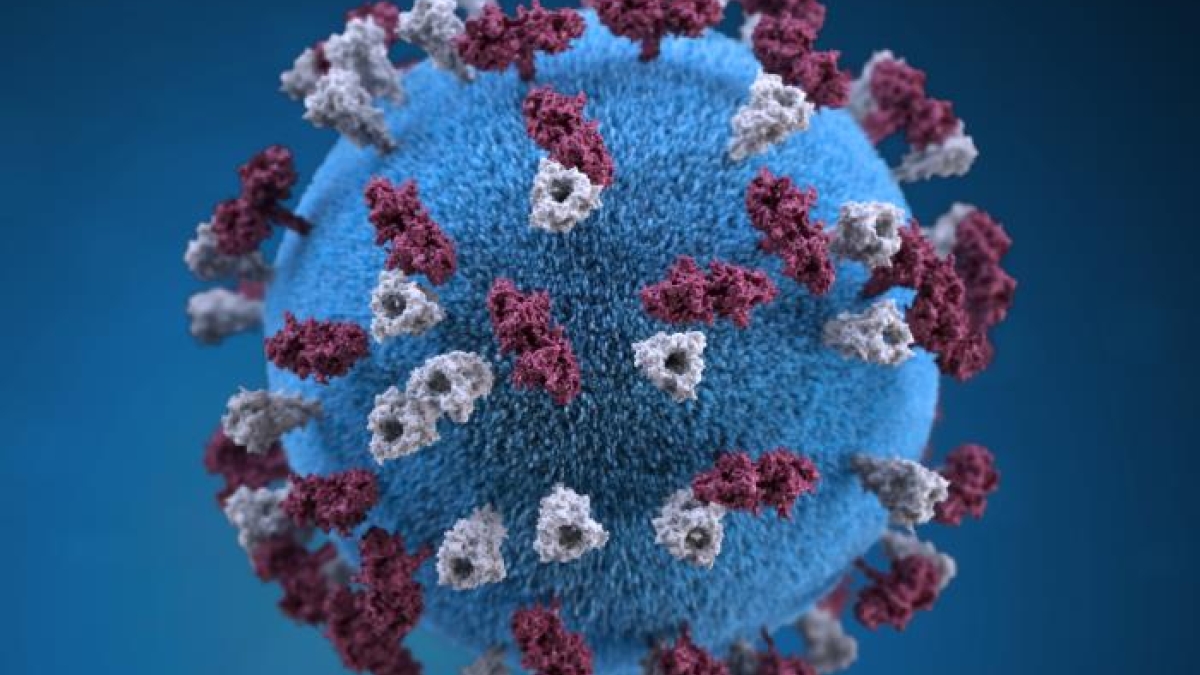 Close-up of the virus that causes measles.