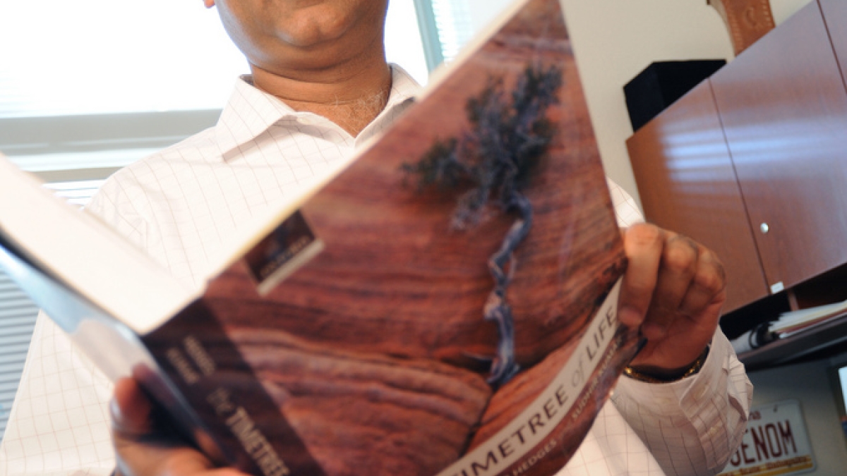 Sudhir Kumar, ASU scientist and co-author of the &quot;Timetree of Life.&quot;