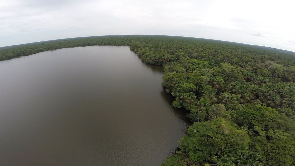 Aerial images of Amazonian peatlands in Peru