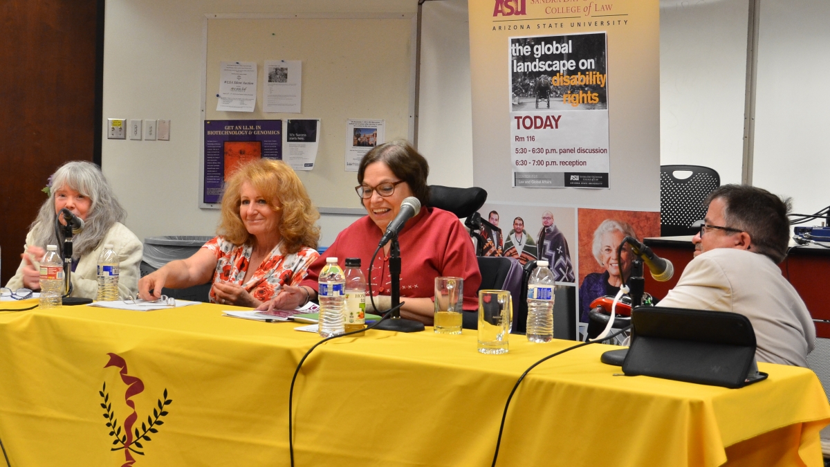 Disabilities Treaty panelists