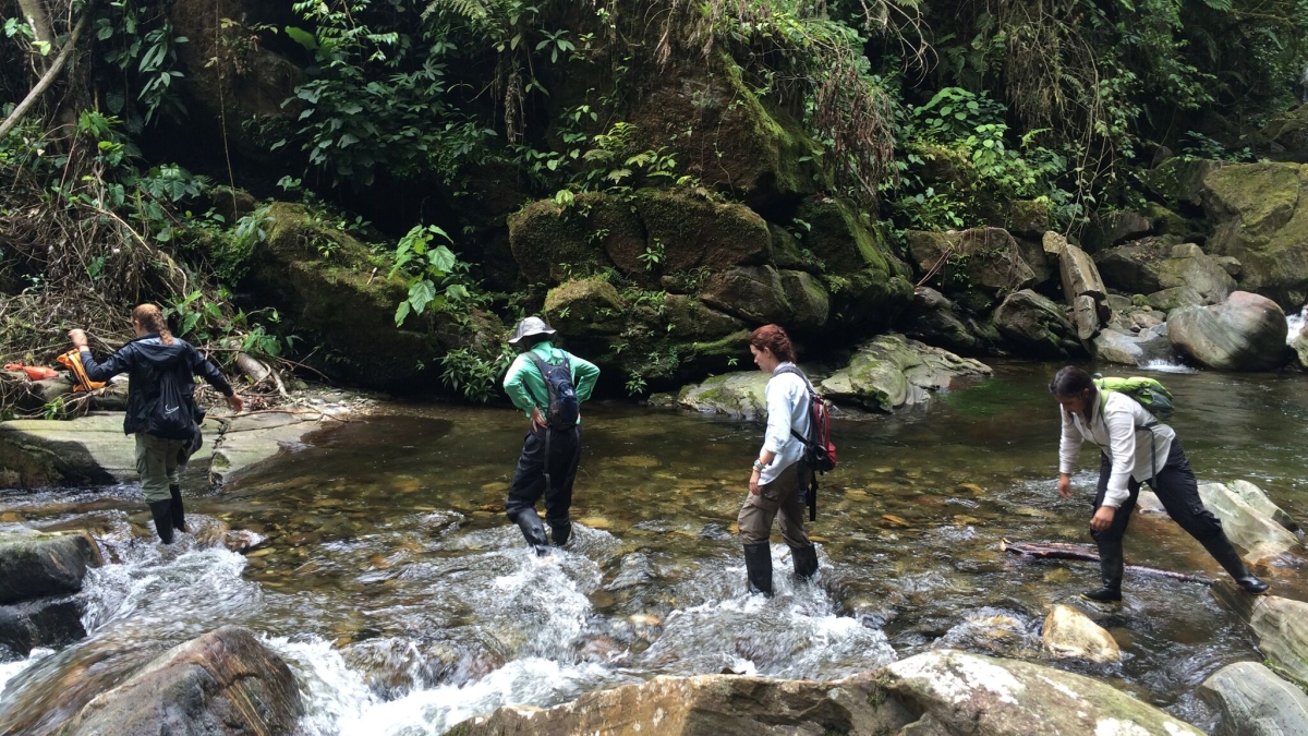 photo of team hiking across jungle river