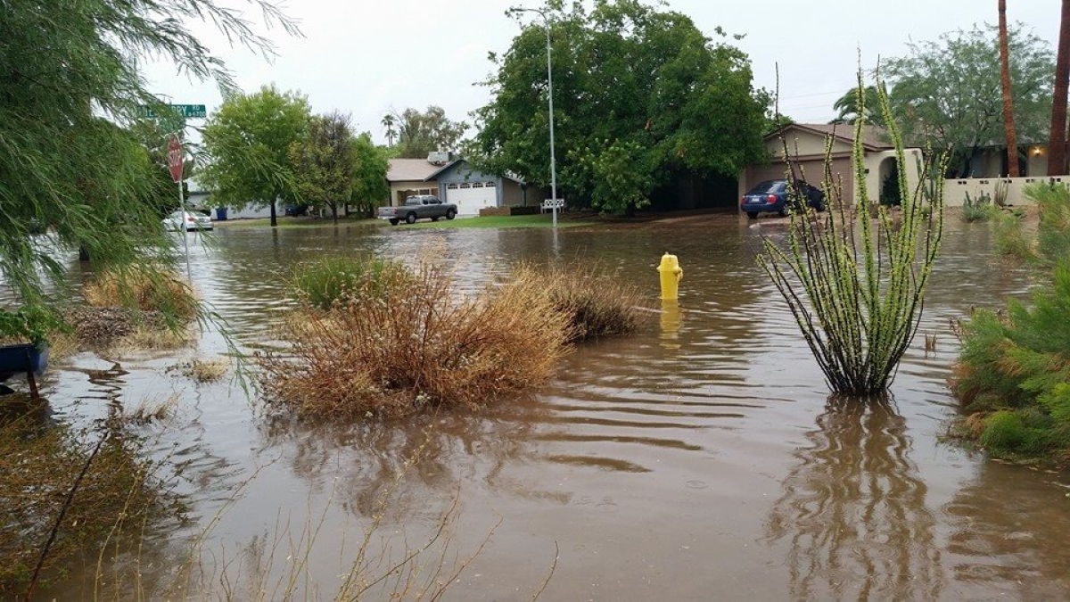 Flooded Tempe neighborhood