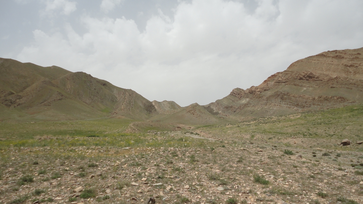 Field view from Iran where samples were collected for this study