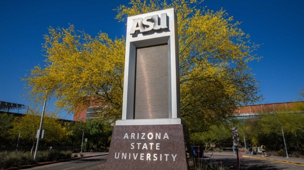Tall vertical ASU sign in front of a blooming palo verde tree