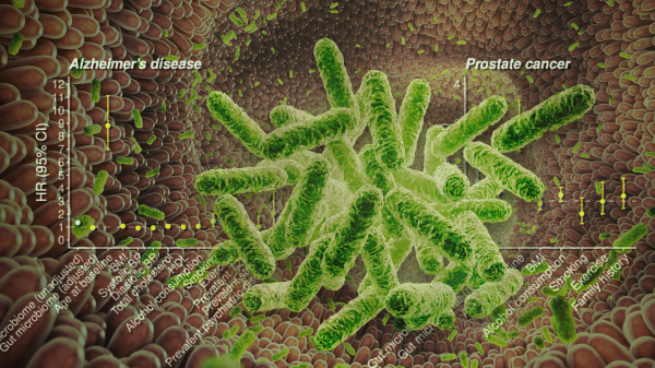 Graphic illustration of a close-up view of the gut microbiome.