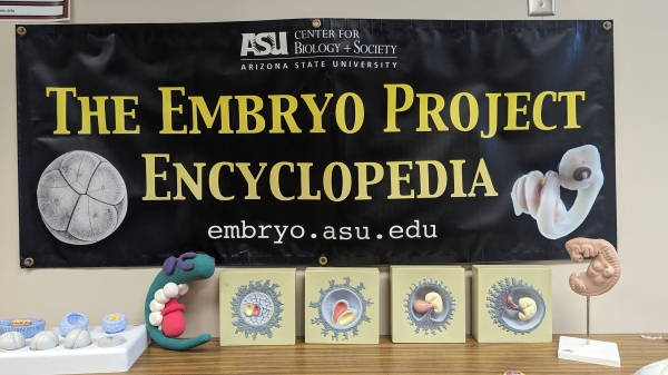 A banner reading "The Embryo Project Encyclopedia" behind embryo figurines.