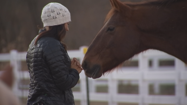Joanne Cacciatore with horse at the Selah House and Care Farm