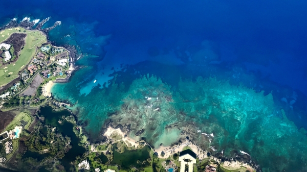 Bird's-eye view of coral reef.
