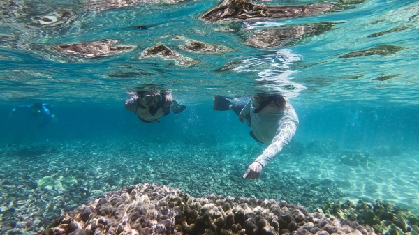 Two divers in light blue water with a beige ocean floor.