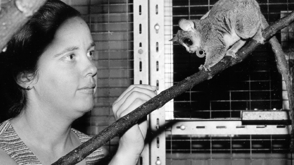 Leanne Nash and a galago.
