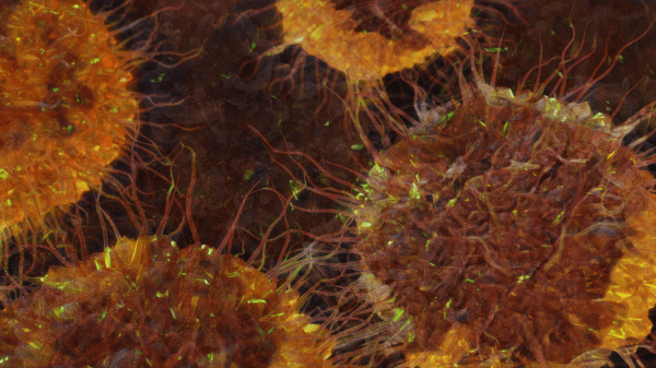 Close-up illustration of tumor cells.