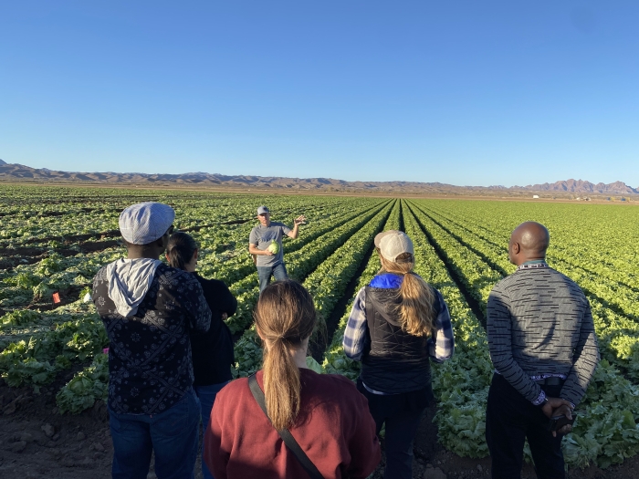 Sustainable Food Systems students during Arizona farm immersive experience 