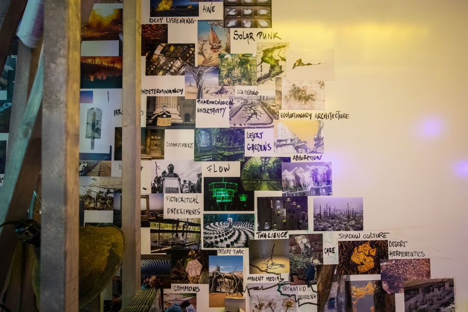 wall decorated with photos and phrases of the desert