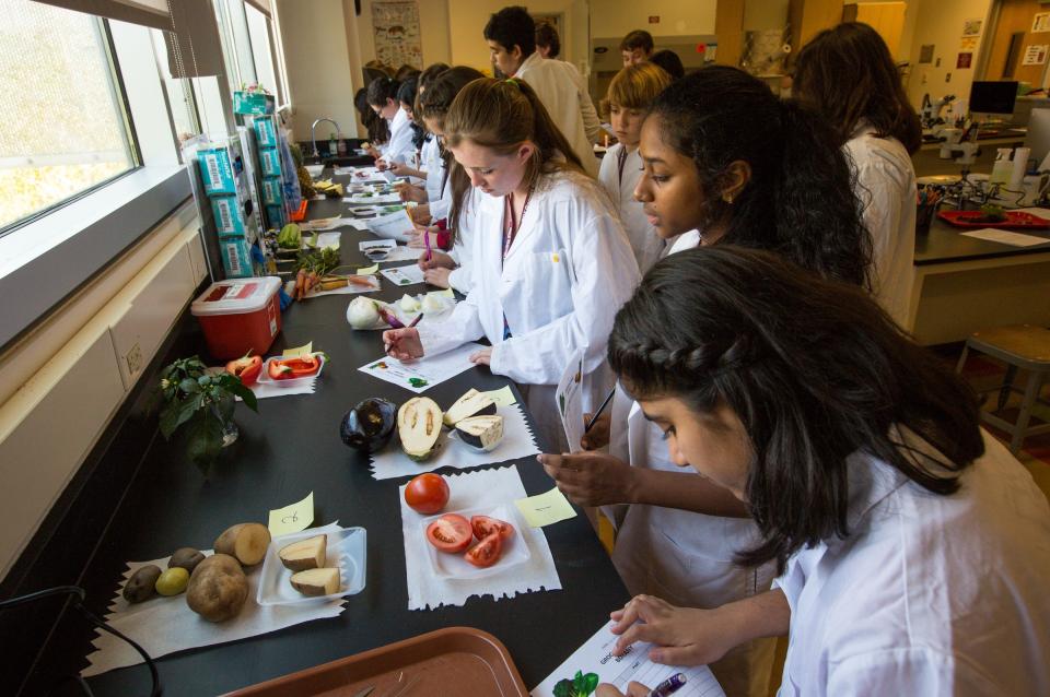 Barrett Summer Scholars dissect fruit and veggies.