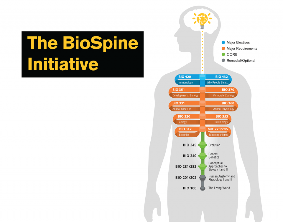 BioSpine Initiative