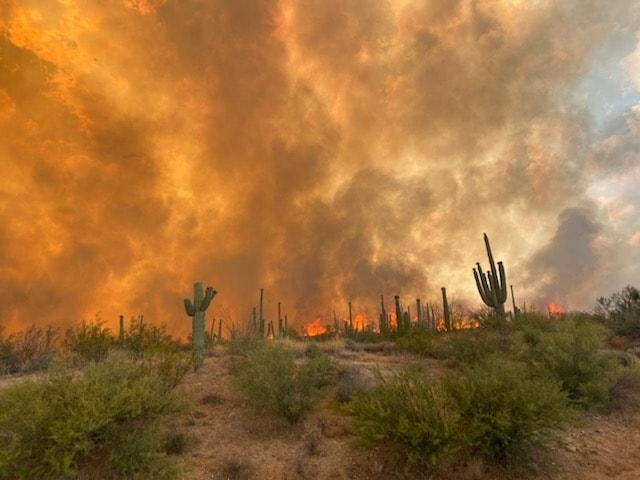 A wildfire burns in the Arizona desert
