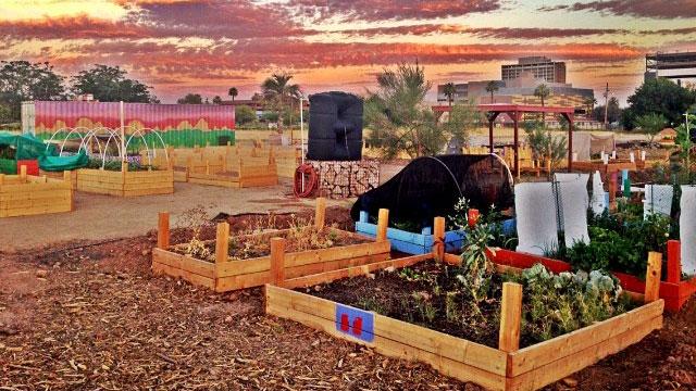 Urban farming in Phoenix