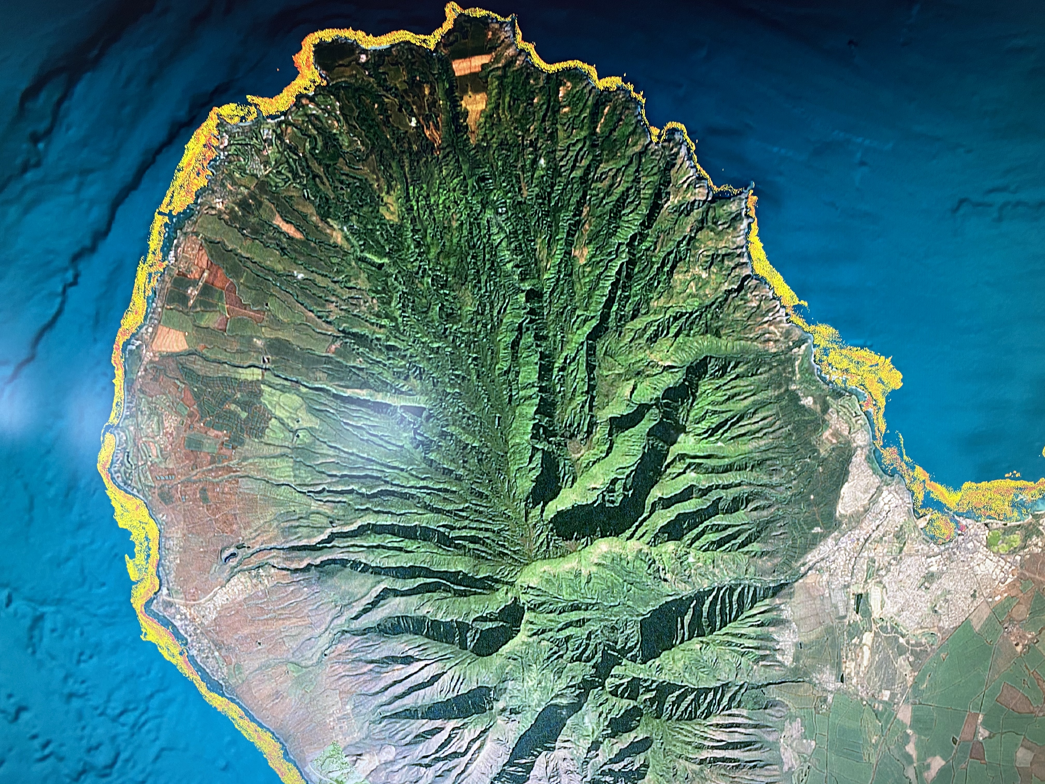 A map of West Maui's live coral